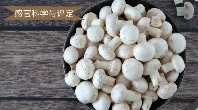 微信圖片_20250624092133