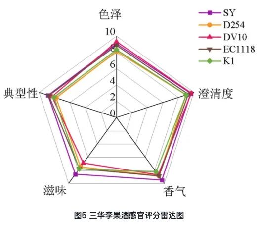 微信圖片_2025-10-15_091635_052