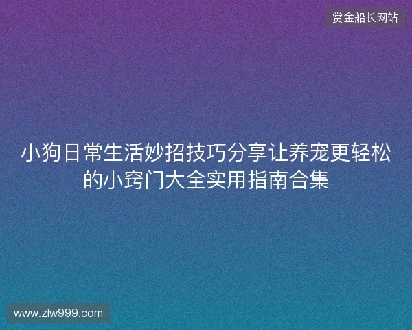 小狗日常生活妙招技巧分享让养宠更轻松的小窍门大全实用指南合集